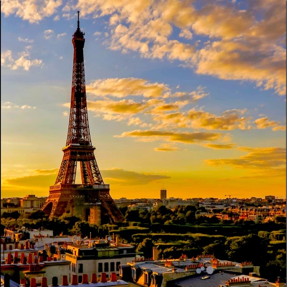 Meet your Posher, Iago - Picture 1 of 1